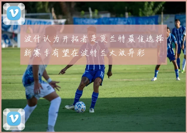波什认为开拓者是莫兰特最佳选择新赛季有望在波特兰大放异彩