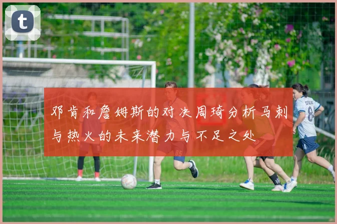 邓肯和詹姆斯的对决周琦分析马刺与热火的未来潜力与不足之处